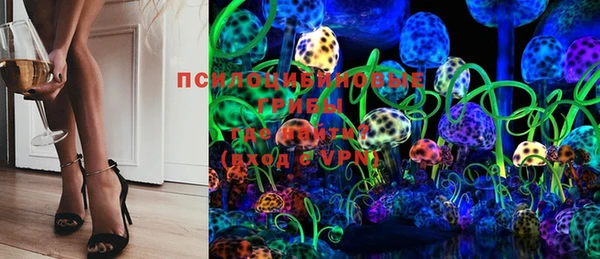 гидра Михайловск