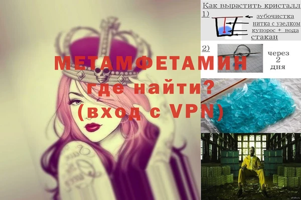 гидра Михайловск