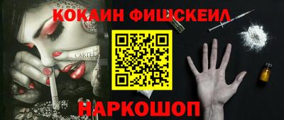индика Кингисепп