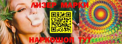 индика Кингисепп