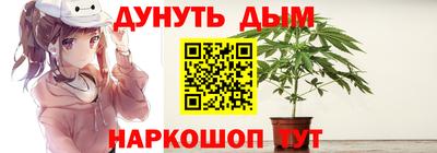 сатива Абакан