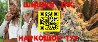 индика Кингисепп