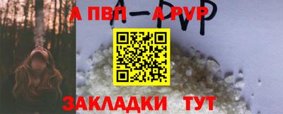 индика Кингисепп