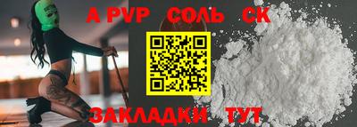 индика Кингисепп