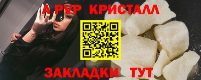 индика Кингисепп