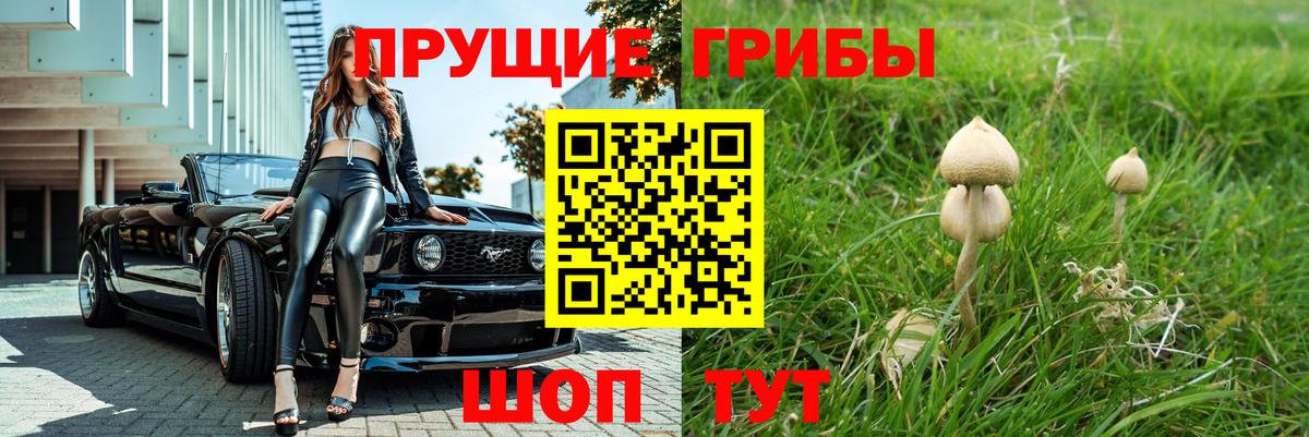 Галлюциногенные грибы Psilocybine cubensis  Псилоцибиновые грибы Magic Shrooms  Вход с VPN  Саратов 