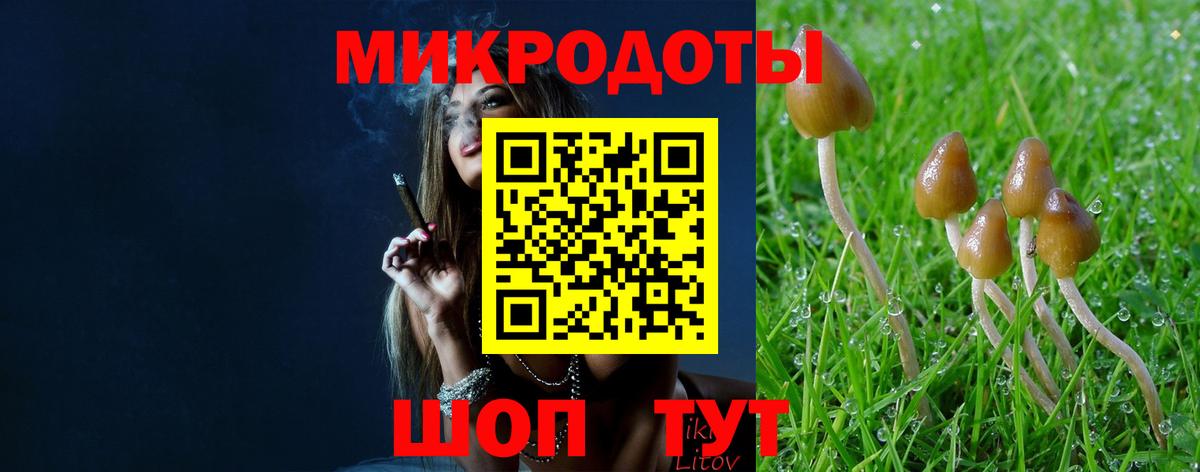 Галлюциногенные грибы мухоморы Саратов