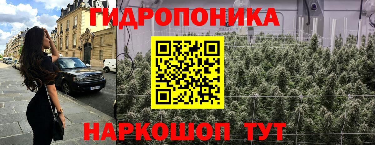 Канабис White Widow  Вход с VPN  Бошки Шишки Amnesia  Саратов  Бошки Шишки план 